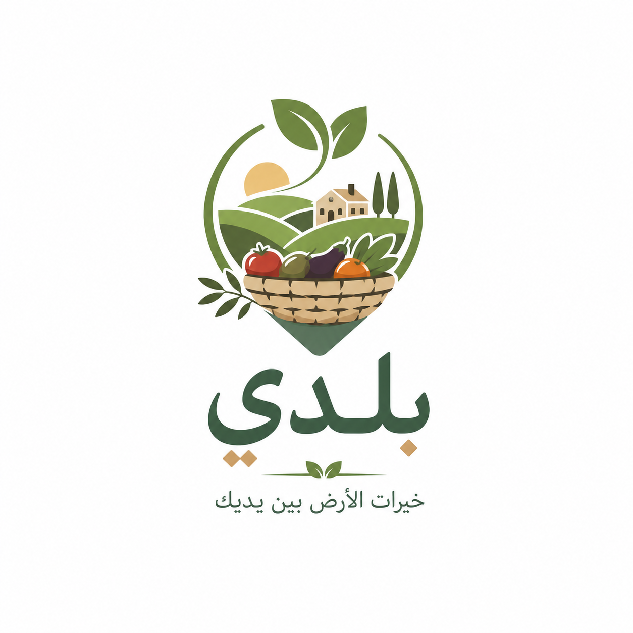 Baladi logo